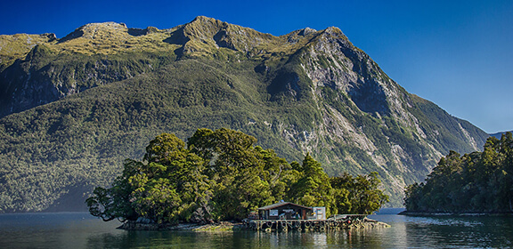 Bush-covered island in Doubtful Sound