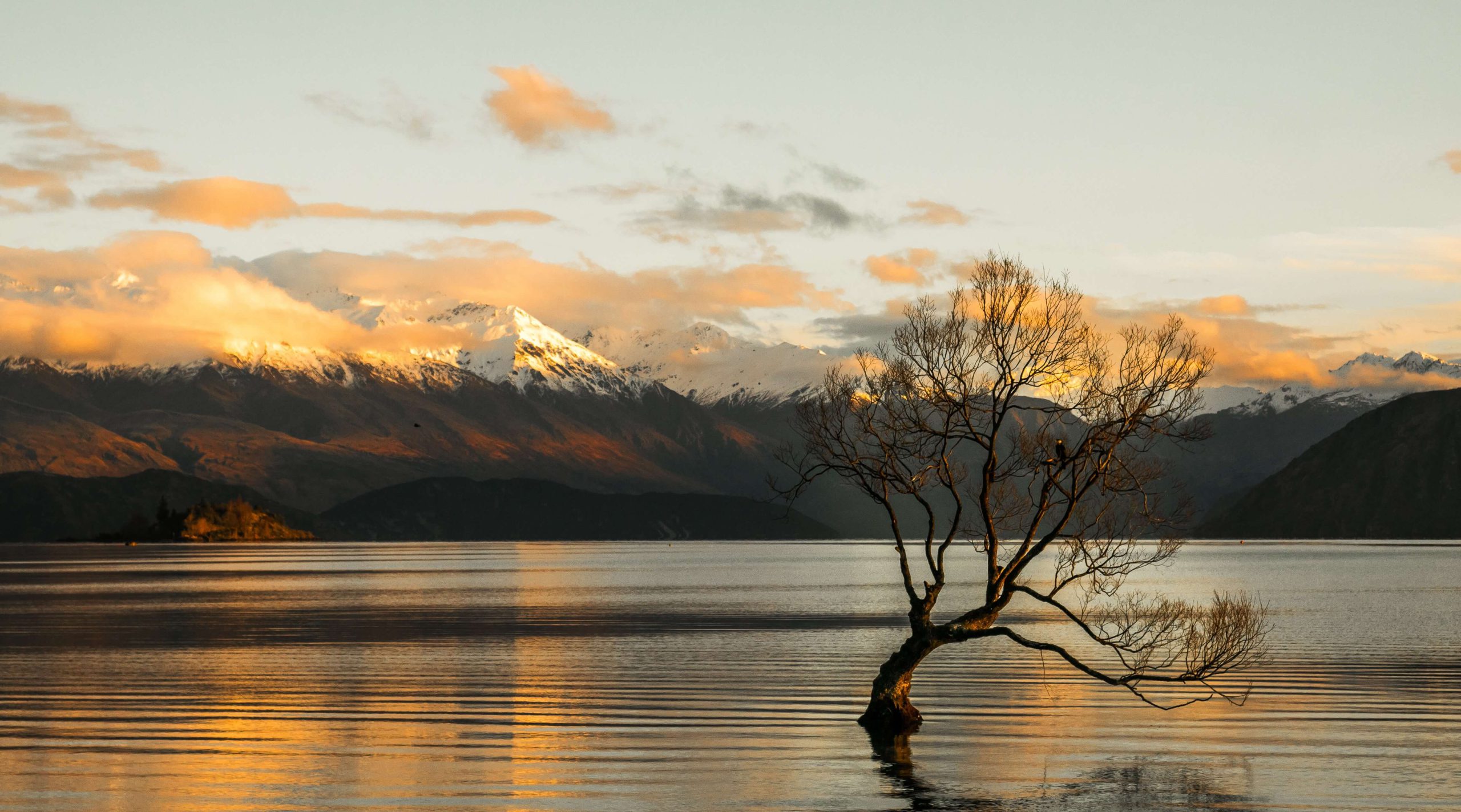 Wanaka half day