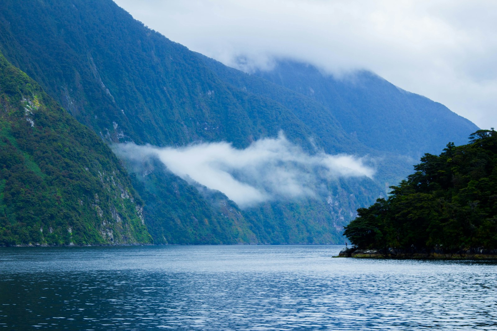 Doubtful Sound tour