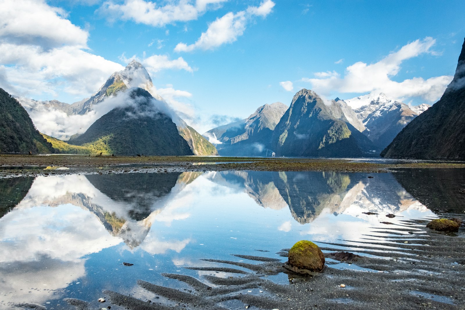 Milford Sound day tour